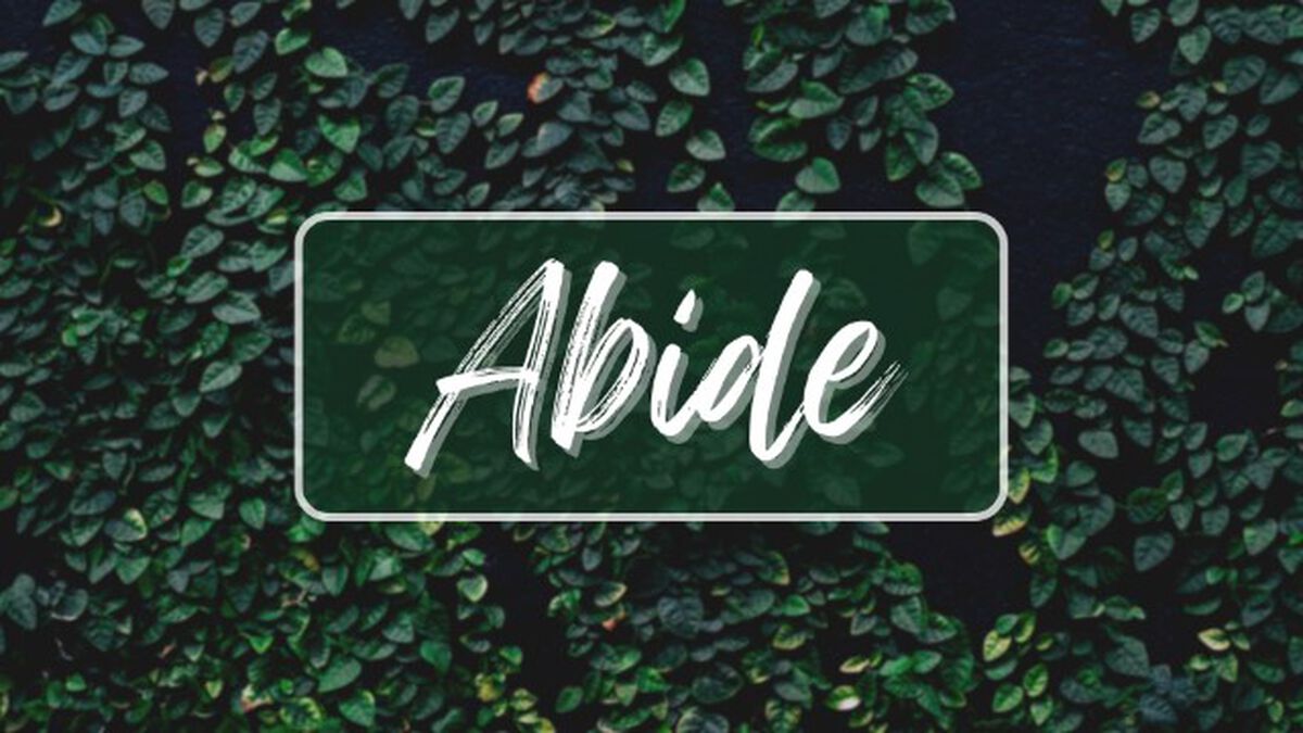 Abide Prayer Experience image number null